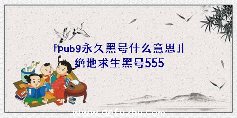 「pubg永久黑号什么意思」|绝地求生黑号555